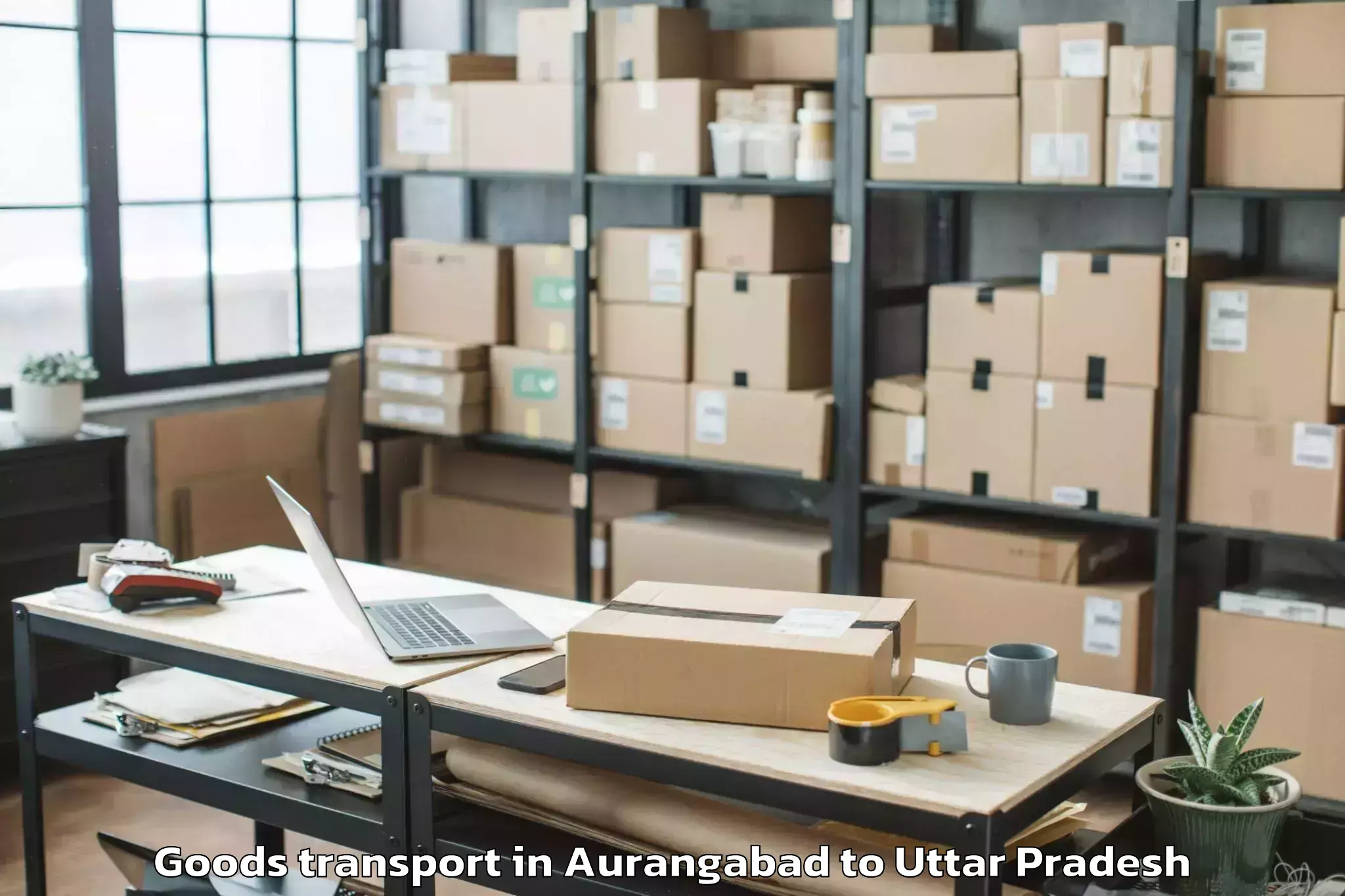 Reliable Aurangabad to Uttar Pradesh University Of Me Goods Transport